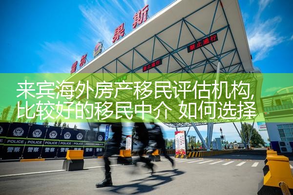 2011中国十大专业移民机构