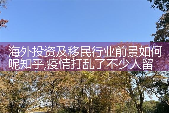 海外投资移民最新规定是什么