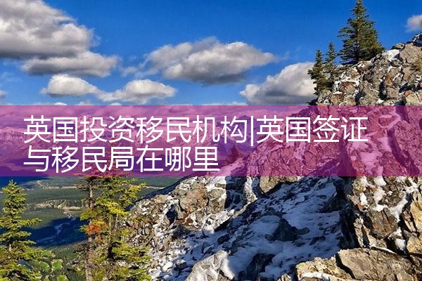 加拿大移民专业机构