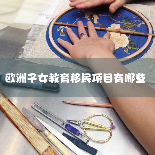 һ��ѧ����֤���   133 �µ������������Ҫ��������ѧ���������ѧ���Ƶ�Ҫ�󣬶���ѧ��δ���������˿���ͨ���ṩ����֤���Ĳ��������ѧ��֤������������ѧ��δ��������ṩ����A1֤�顣�����޷��﹫֤