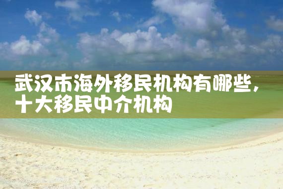 武汉市海外移民机构有哪些
