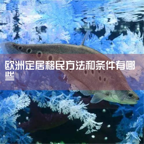 ��ǩ��������������100��ŷԪ�Ķ��ڴ�� ����Dǩ�趨��һ�꣬����2���趨��2�꣬����5���趨��5�ꡣ������Ⱥ�������ʲ�״�����á��ֽ������㡢��ӵ�к������ݡ�����ŷ�ޱ�������ʱû�й��÷����Ĵ��㣬����