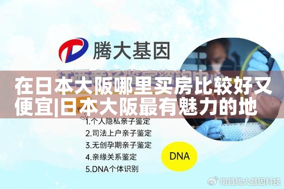 大阪丰中买房
