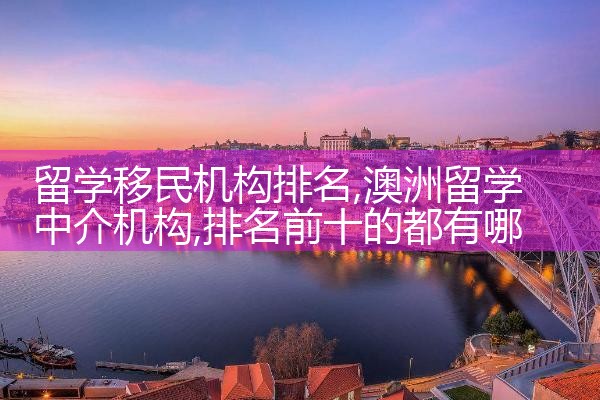办理非移民签证机构