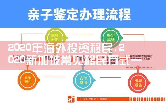 2020年海外投资移民
