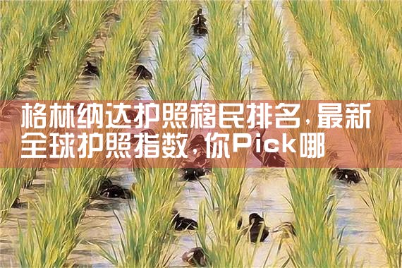 日本经营管理签证资金|日本移民