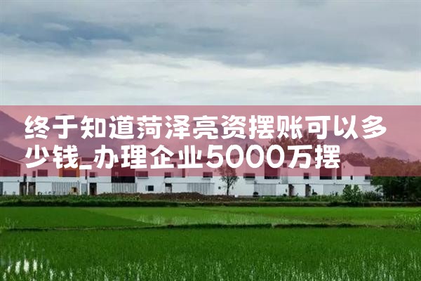终于知道菏泽亮资摆账可以多少钱