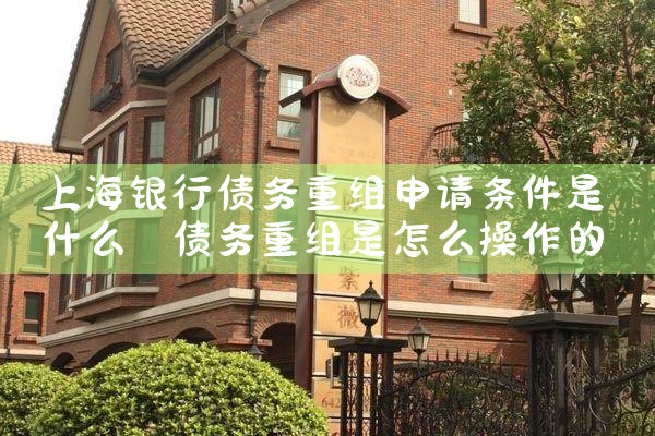 上海贷款债务重组公司名单