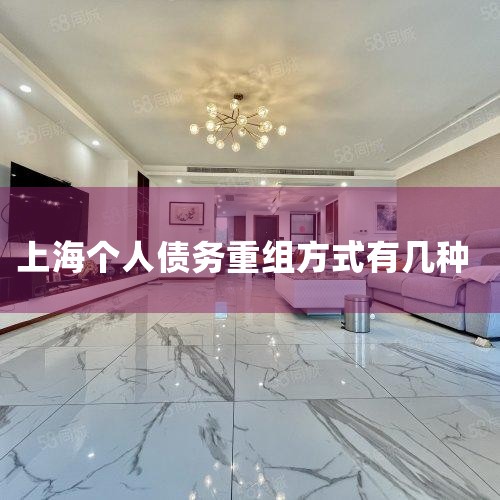 һ���˽��Ϻ�����ծ������Ļ������� ����ʽ���и���ծ������֮ǰ,������Ҫ�˽��Ϻ�����ծ������Ļ����������ծ��������ָ�����򾭼����ѻ�����ԭ���޷���ʱ����ծ��,ͨ������...