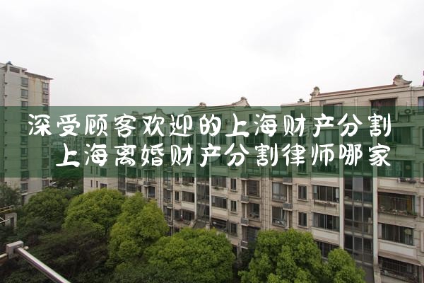 深受顾客欢迎的上海财产分割