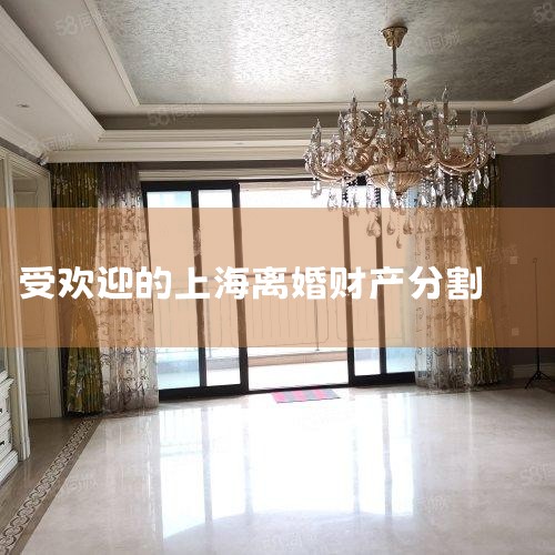 ���ʱ�����޲Ʋ��Ĵ������Է�Ϊ��������:(1)����һ�����вƲ��Ĵ���:����һ�������вƲ�����������С�(2)���޹�ͬ�Ʋ��Ĵ���:���޵Ĺ�ͬ�Ʋ���˫��Э�鴦���������������ͲƲ��ָ��ɵ�Э�飬����Ů˫