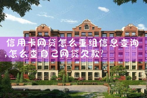 信用卡网贷怎么重组信息查询