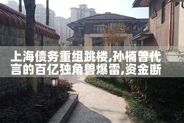 上海债务重组跳楼