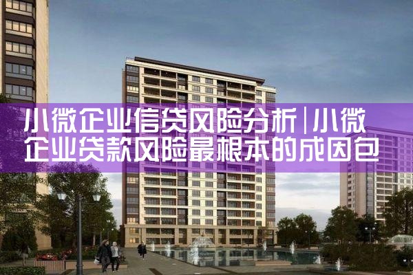 小微企业信贷风险分析