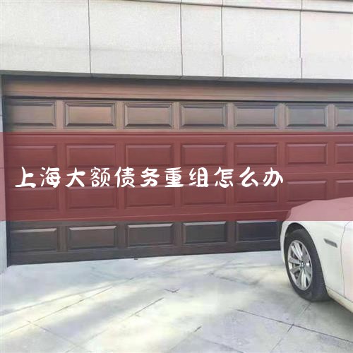 1��Ŀ���뱳��:�����ڽ���֧������ƽ̨ծ����ջ����ָ�������(35����)Ŀ�����ڷ����ͻ�������ƽ̨�ȵط�ծ�����,Ҫ��֧���ص�ʡ������ƽ̨��������ծ���������;�Ͽ�����...
