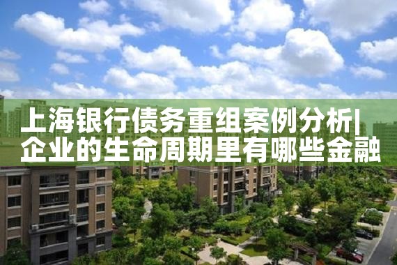 广州信用卡债务重组案例最新