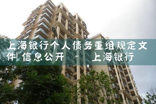 蚌埠摆账亮资在哪里办更快