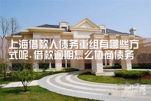�Ϻ���ҵծ������Э���鷶������