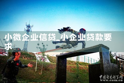 小微企业信贷