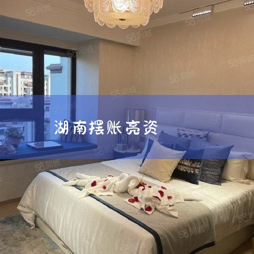 ����ɰ����������ÿ��͸���Ϣ����,����ת���ɵ���Ϣ�����޽ϳ��Ĵ�� ծ����������: 1. ������ṩ��ز����ծ����Ϣ,��ծ������������г��������� 2. ���ݽ���˵�ʵ�����,...