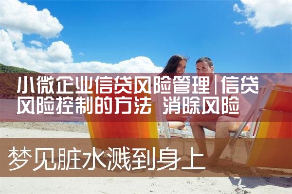 小微企业信贷风险管理