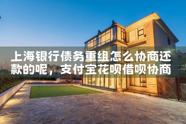 上海网贷债务重组的公司有哪些公司