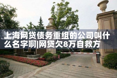 中小微企业融资担保续贷政策