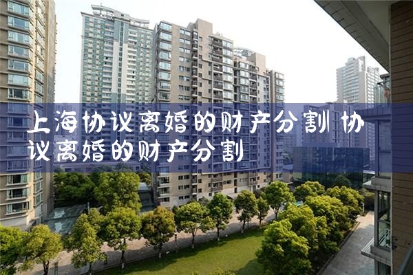 上海宝山区涉外财产分割律师