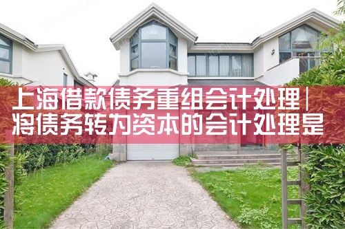 上海民事债务重组案例