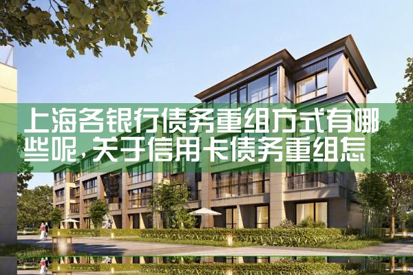 上海借款债务重组案例分析
