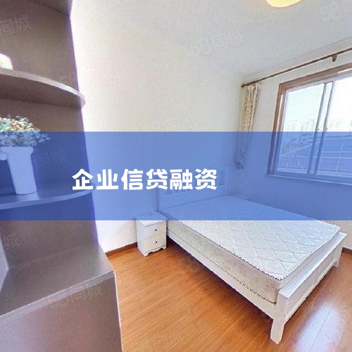 ��ָ��ҵͨ����ծ����ʽ�,�ʽ��ṩ����ΪծȨ�����е����ջر�Ϣ�����ʷ�ʽ,��������������š�������˾�������С�����������ޡ��������䵱�����д��ί�д�������...