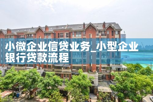小微企业信贷业务