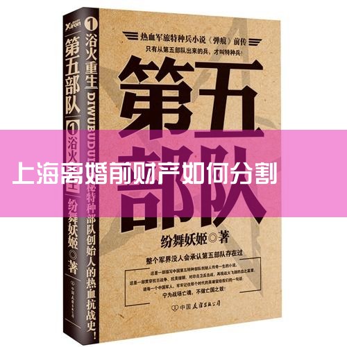 �������ۣ����޹�ͬ�Ʋ��ָ� ��һ�����ƽ�����壬��һ��һ�롣��ʵ�ʷָ��У���Ժ�ῼ���޹���һ����Ů���ĺϷ�����ȣ������ʵ��չˣ����Ƕ�֡��������˫����������ʽԼ�� ������ϵ�����ڼ� ���òƲ��������