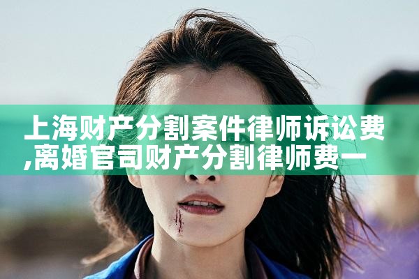 上海财产分割案件律师诉讼费