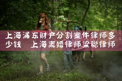 上海浦东财产分割案件律师多少钱