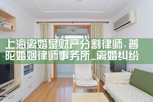 �Ϻ�����ǲƲ��ָ���ʦ