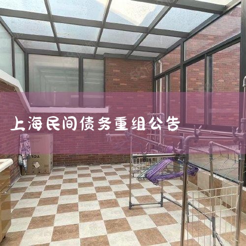 ������������С��ҵ�е�������:1������ծȨ��ʵ��;2�������ʽ���ʧ:�������ʽ����ʧ,ά���˹��ҡ����е�����,����֤���ʽ���ͨ����Ч��;3�������ҵ����Ч��:...