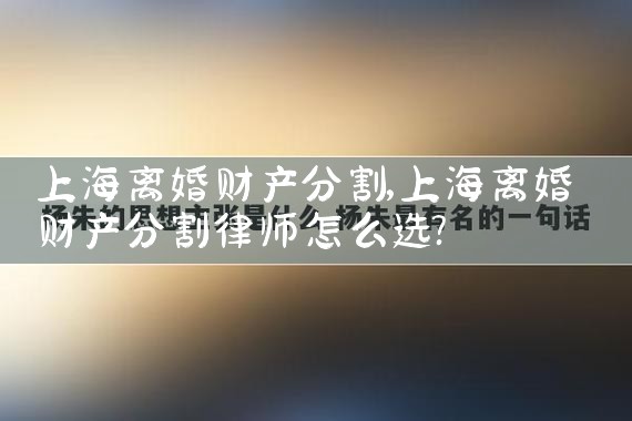 上海黄浦复杂财产分割律师代理费