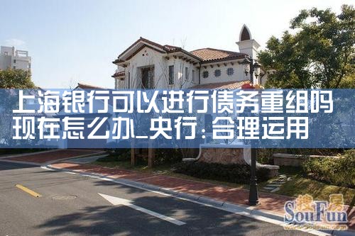 上海银行可以进行债务重组吗现在怎么办