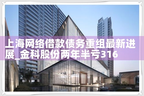 上海网络借款债务重组最新进展