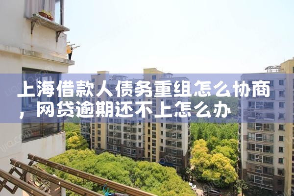 �Ϻ�����ծ�����鰸������
