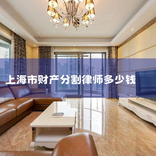 ���ɷ���:���������ʦ�Ĵ������ã�������һ�������ʲ�һ���շѱ�׼Ҳ�ǲ�ͬ�ġ�һ�����������漰�Ʋ��İ���һ����ʦ��3000Ԫ���ҡ��вƲ����׵ģ��Ӱ�����ܻ�Ҫ���Ʋ�����֧��һ����������ʦ�ѡ���������:��