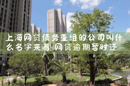 郴州中小微企业融资担保有限公司怎么样