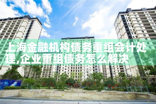上海个人债务重组概念
