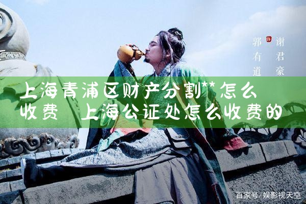 上海假离婚财产分割