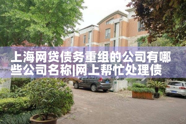 全国资金余额小票亮资摆账显账