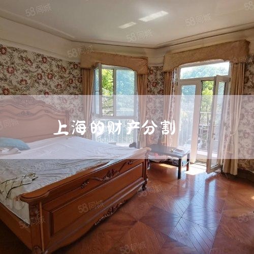 �Ƽ����Ϻ���������ԲƲ��ָ����⣬���Ƽ�Ѱ��רҵ��ʦ�������İ�������������ʦ��������������ʦ���������ڲƲ��ָ�澭��ḻ����ʦ�Ŷӡ�����1���Ʋ��ָ�ͨ���漰�����ӵķ������⣬����������顢�Ų��̳�
