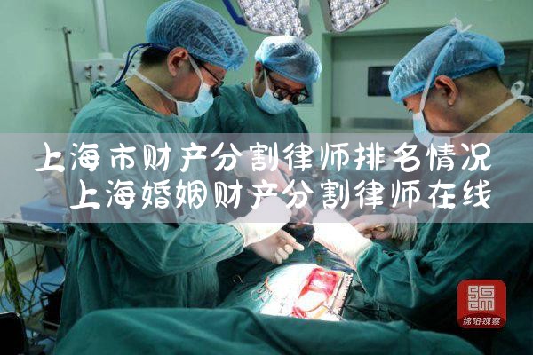 上海市财产分割律师排名情况