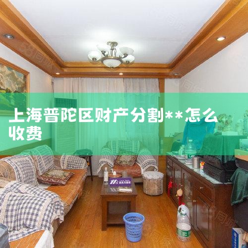 ���Ʋ��ָ�����鰸������Ϊ���Ӻ����еĲ��֣��漰�ʲ�����ծ����������Ʊ���ֽ�ȶ��ֲƲ���ʶ��ͷ��䡣ѡ��һλ����Ϥ���ɣ����ܶ������ģ�Ϊ��������ȡ����������ʦ������Ҫ����X��ʦ֮���Ա���Ϊ������һ