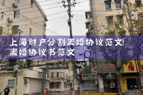 上海财产分割离婚协议范文